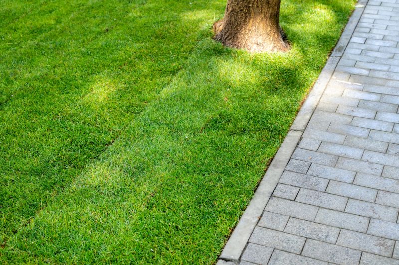 Trail Paving